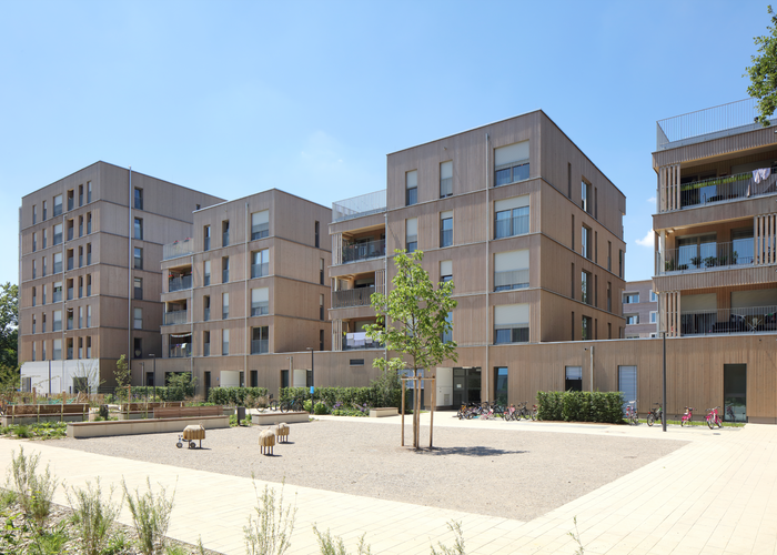 © Conné van d’ Grachten