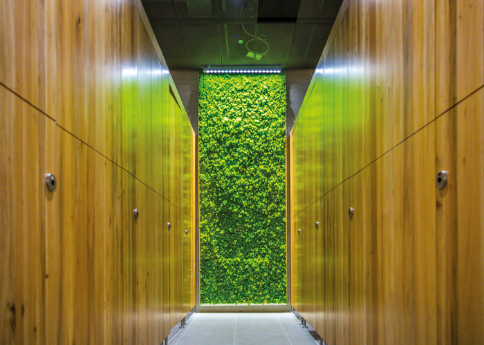 © Rubner Ingenieurholzbau