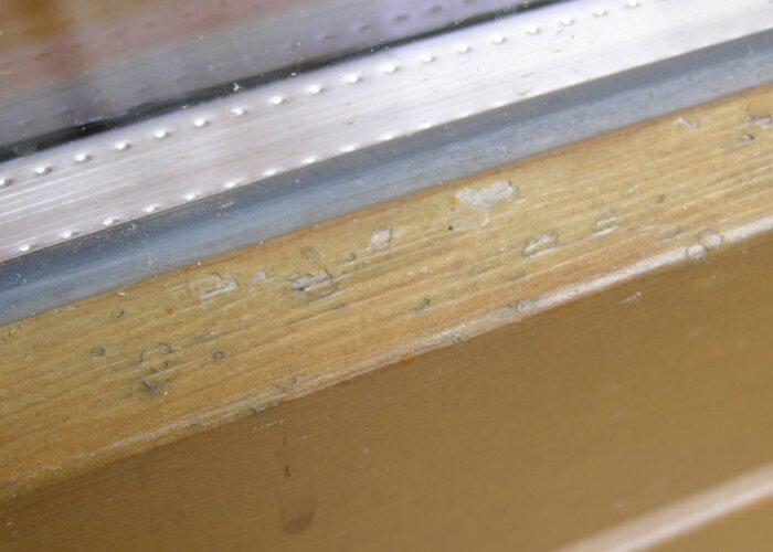 Pri silných poškodeniach kvôli krupobitiu...