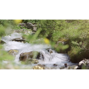 Vodouriediteľné laky